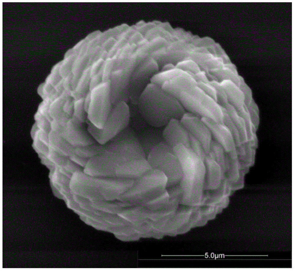 Axiolitic Zn8[(BO3)3O2(OH)3]: Eu3&lt;+&gt; light emitting material with vortexes and preparation method of axiolitic Zn8[(BO3)3O2(OH)3]: Eu3&lt;+&gt; light emitting material