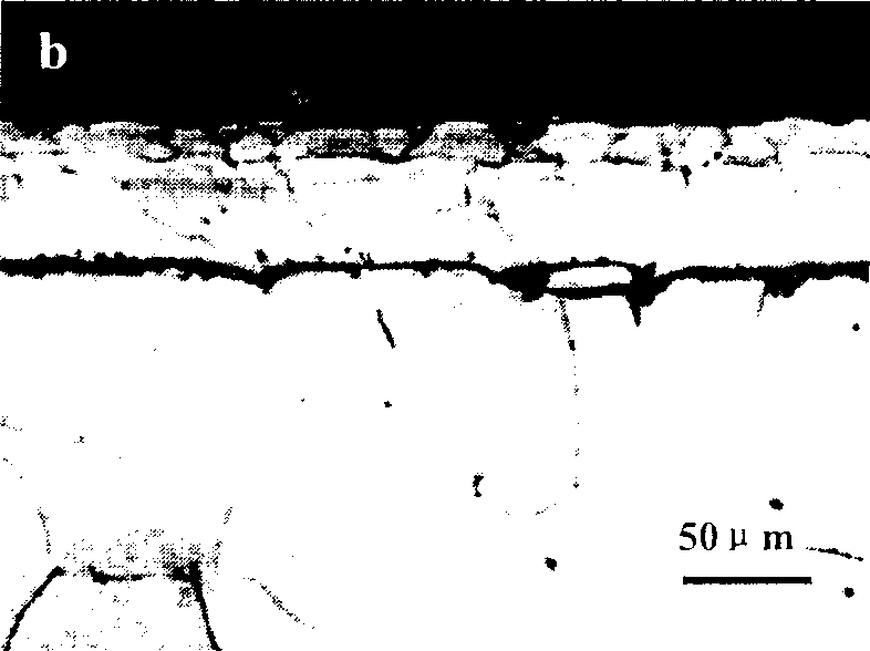 Chromizing coating modified by rare earth oxide and preparation method and application thereof