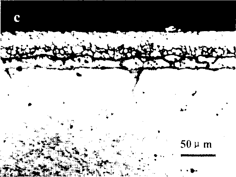 Chromizing coating modified by rare earth oxide and preparation method and application thereof