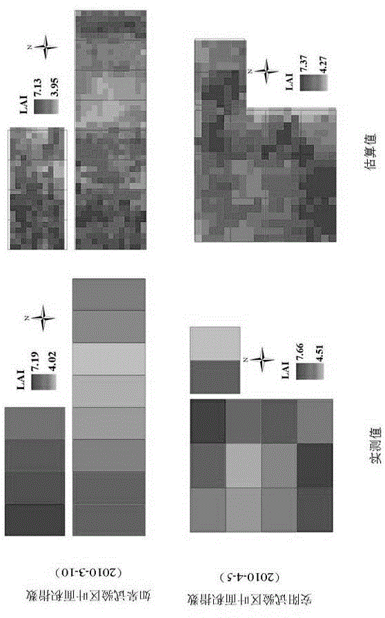 Wheat LAI (leaf area index) estimation method coupled with satellite-ground remote sensing
