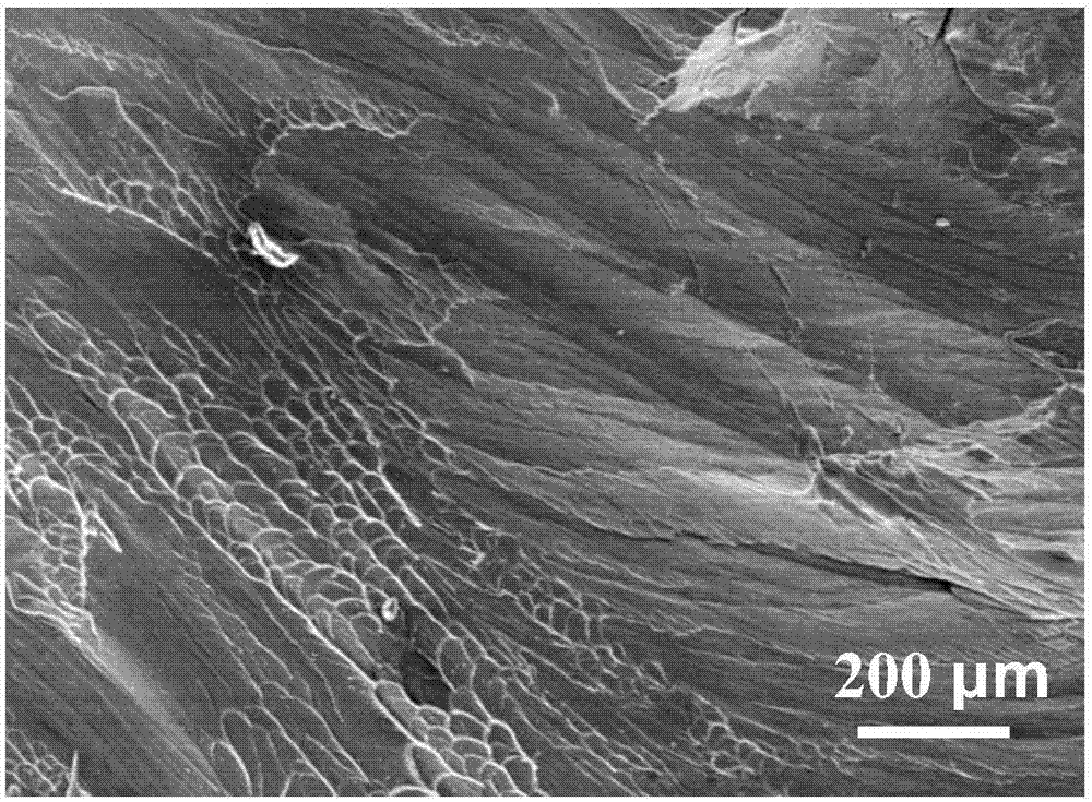 A magnesium-based bulk amorphous alloy with obvious plasticity and its preparation method