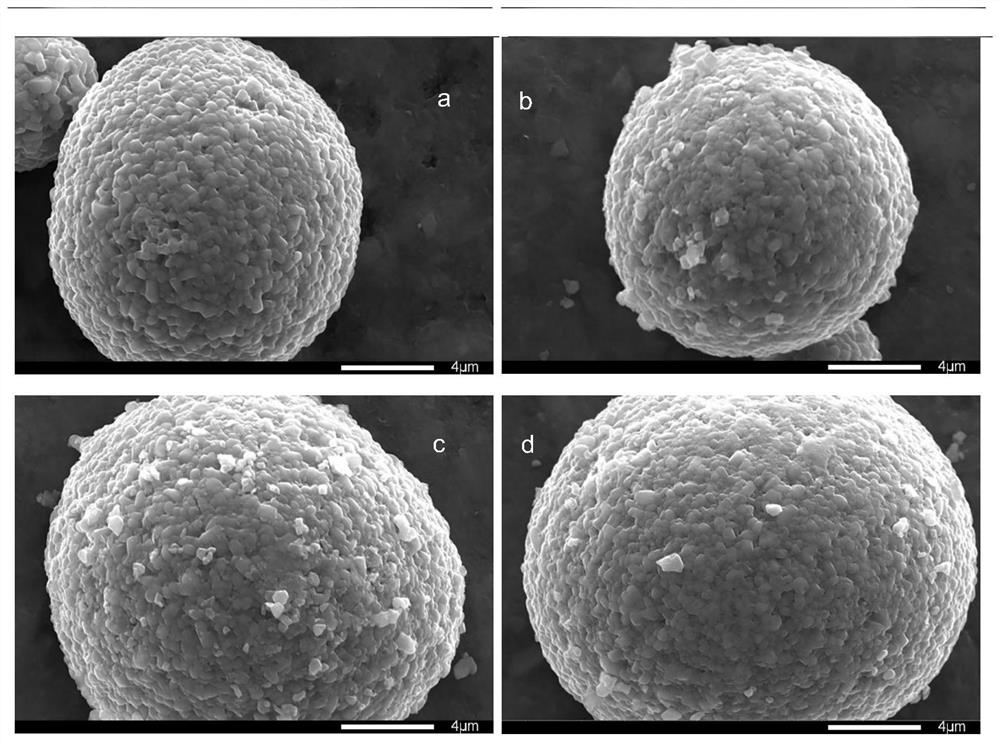 Al(PO3)3 coated NCM811 positive electrode material and preparation method thereof