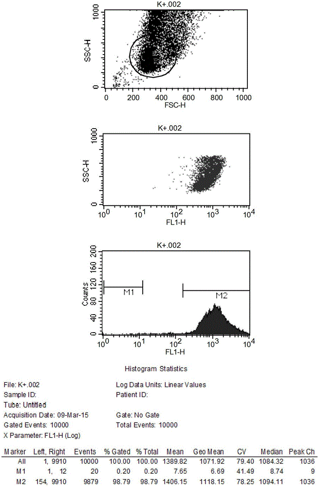 Method and application for screening ultralow fucose cell line