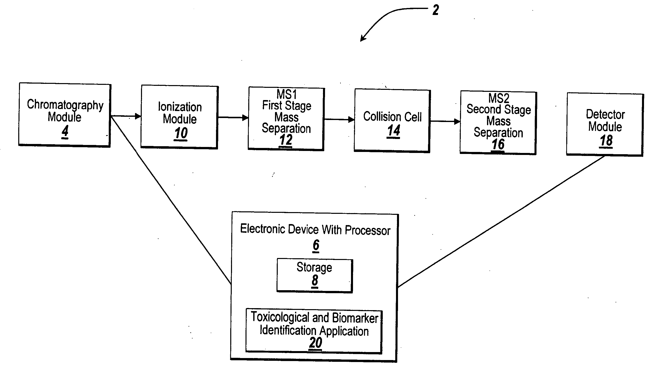 System and method for metabonomics directed processing of LC-MS or LC-MS/MS data