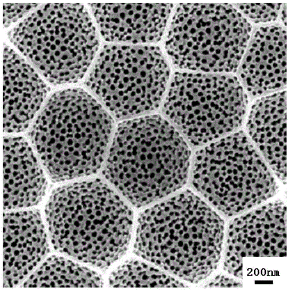 A method for preparing micro-curved three-dimensional interconnected nanoporous anodized aluminum template