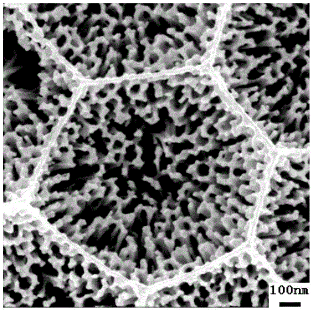 A method for preparing micro-curved three-dimensional interconnected nanoporous anodized aluminum template