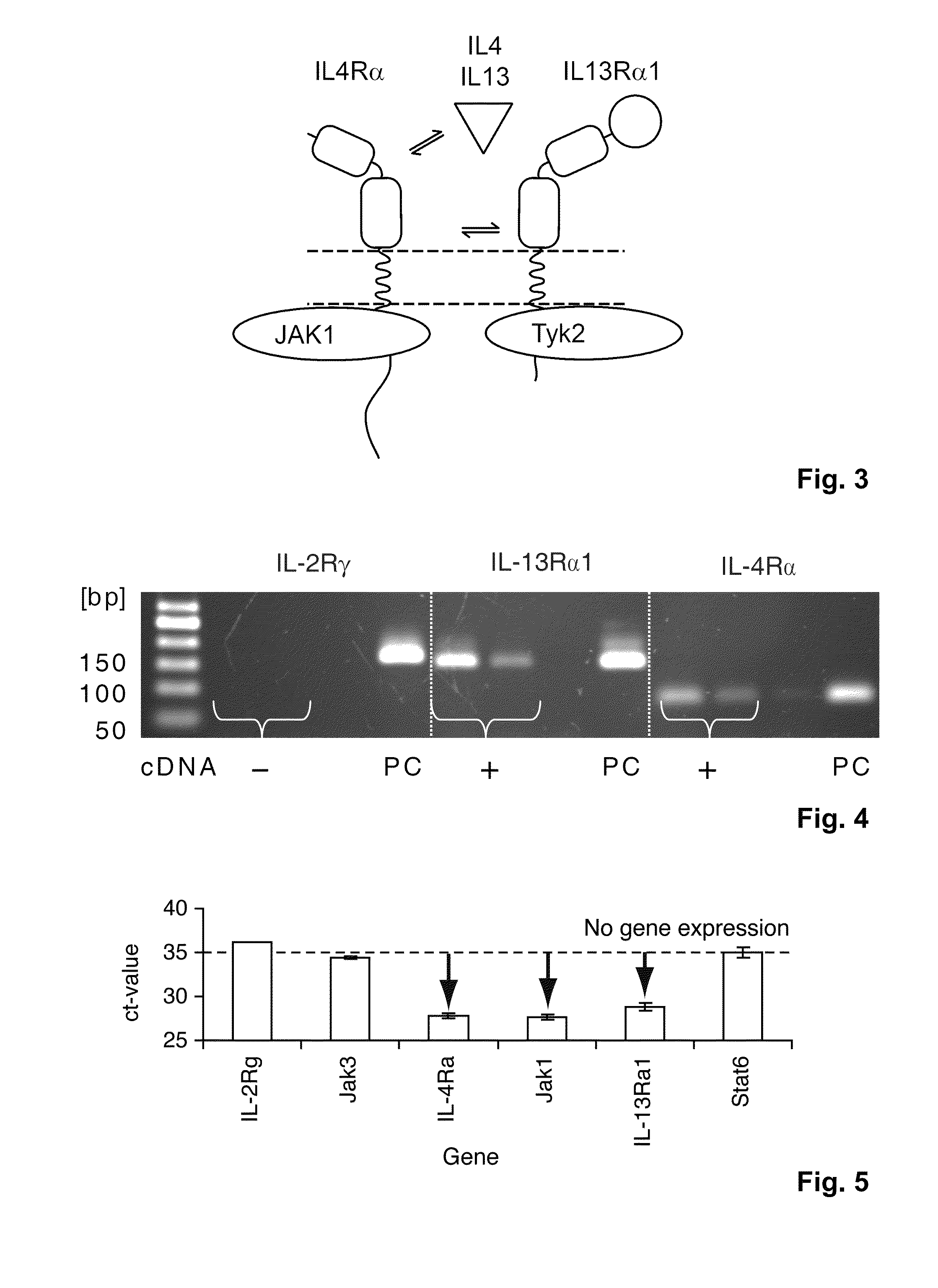 Methods and compositions for reducing interleukin-4 or interleukin-13 signaling