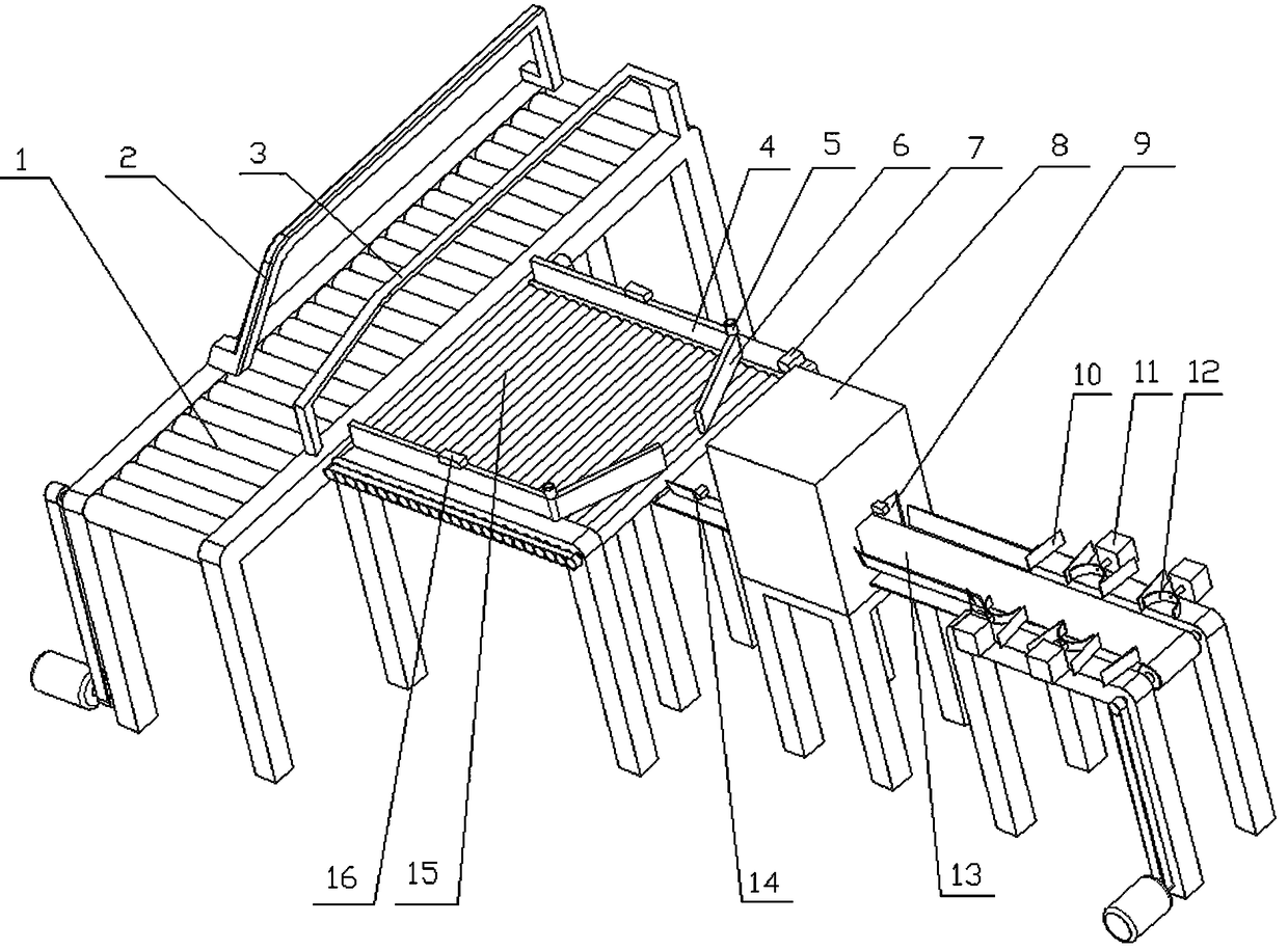 Primary sorting and grading equipment for apples