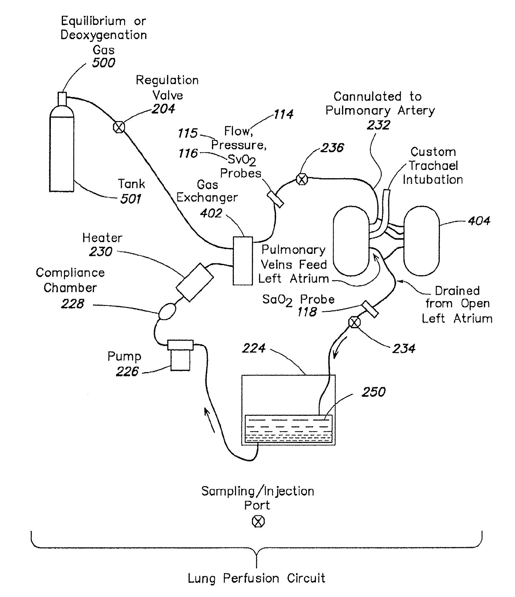Systems and methods for ex vivo lung care
