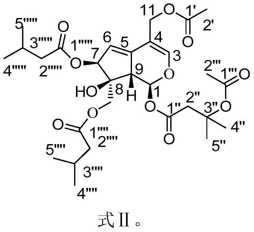 Application of valeriana jatamansi Jones part in preparation of N-type calcium channel inhibitor