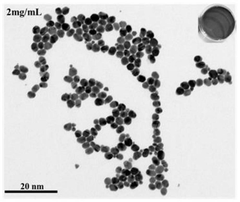 A kind of nanometer gold micelle catalyst and its preparation method and application