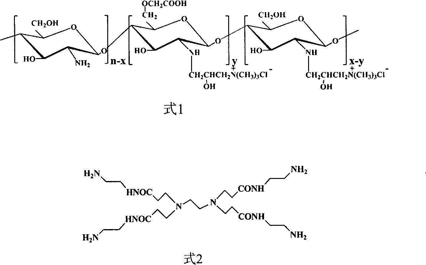Carboxymethyl chitosan quaternary ammonium salt/PAMAM(Polyamidoamine) core-shell nanoparticles and preparation method