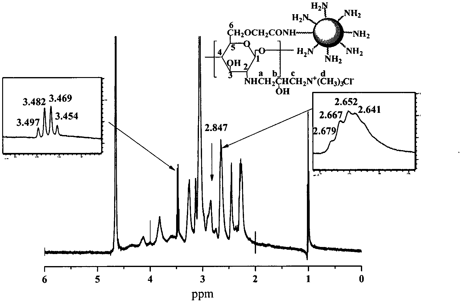 Carboxymethyl chitosan quaternary ammonium salt/PAMAM(Polyamidoamine) core-shell nanoparticles and preparation method