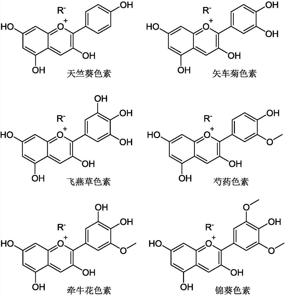 Environment-friendly soy sauce with efficacies of dispersing liver and rectifying qi, and preparation method thereof