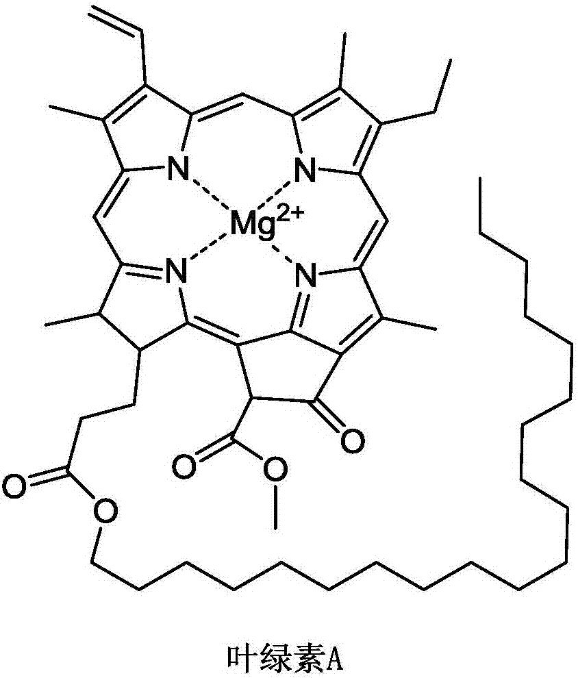 Environment-friendly soy sauce with efficacies of dispersing liver and rectifying qi, and preparation method thereof