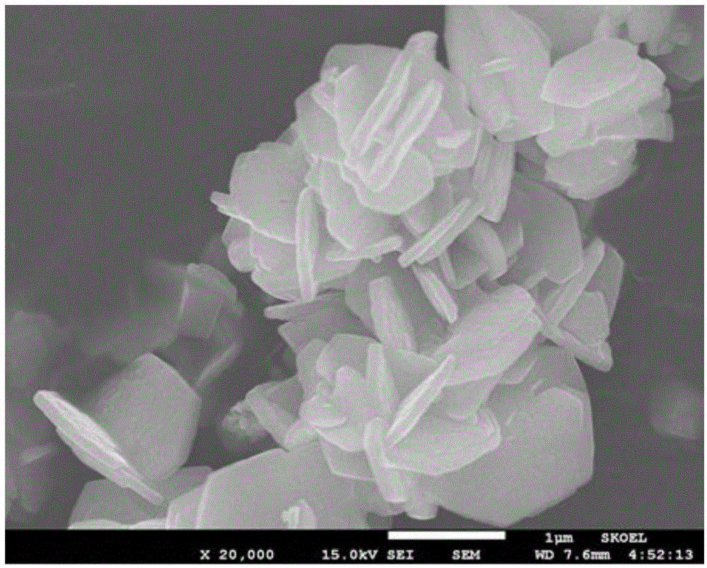 Tin dioxide nanoflower with hollow structure and preparation method of tin dioxide nanoflower
