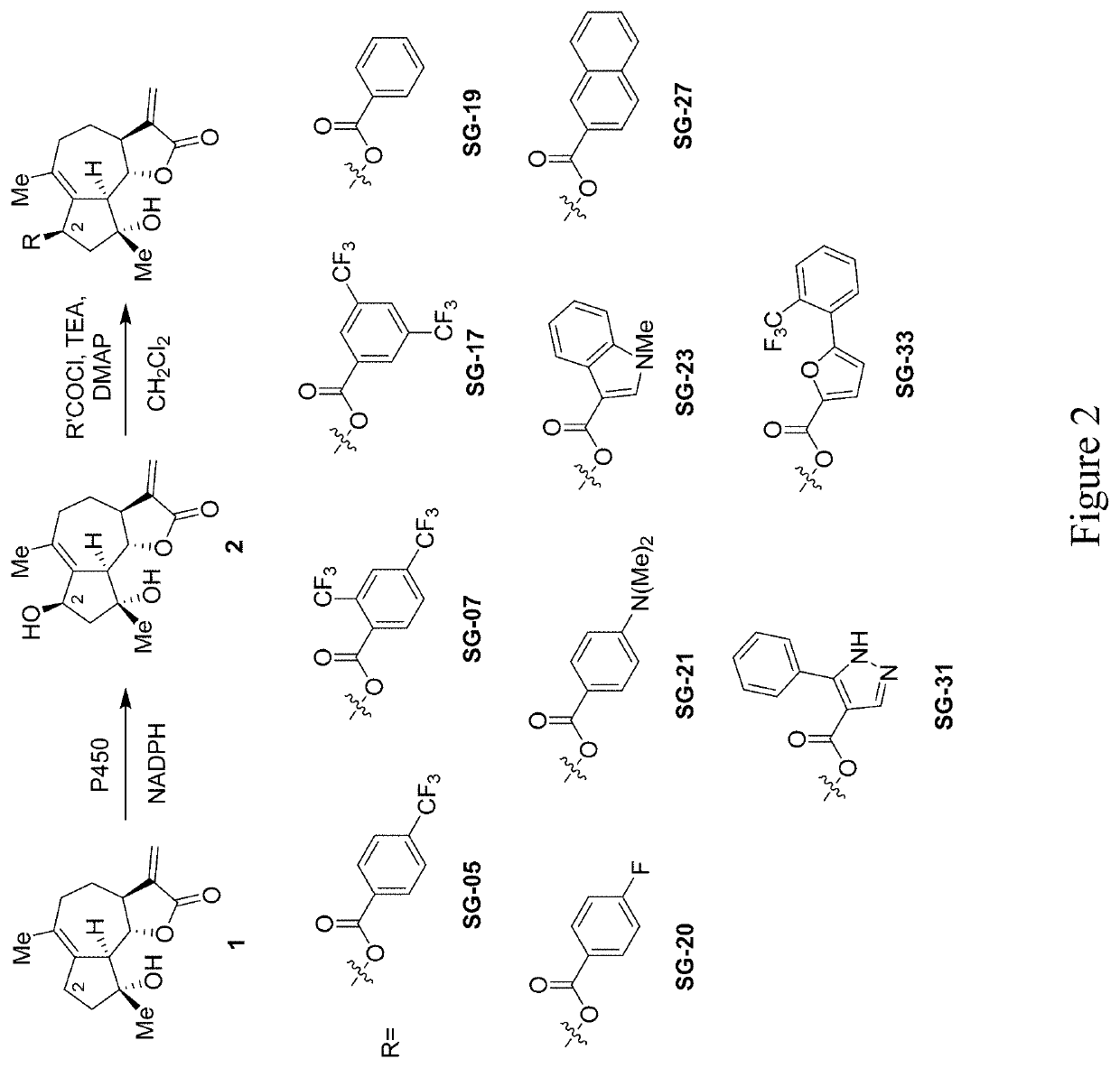 Micheliolide derivatives, methods for their preparation and their use as anticancer and antiinflammatory agents