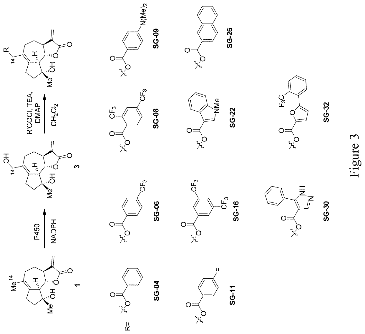 Micheliolide derivatives, methods for their preparation and their use as anticancer and antiinflammatory agents