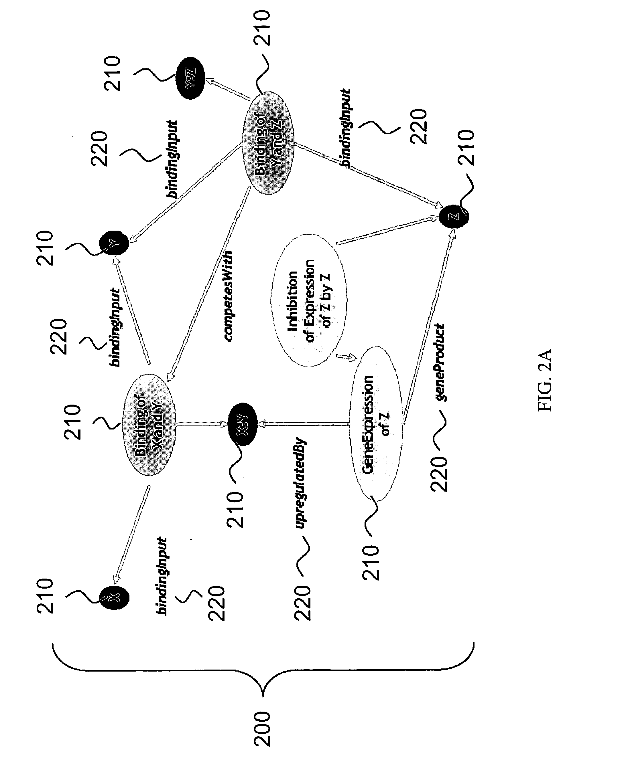 Method, system and apparatus for assembling and using biological knowledge