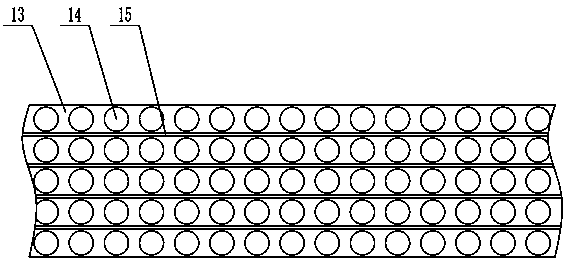 Fixed-grain packaging device for corn seeds