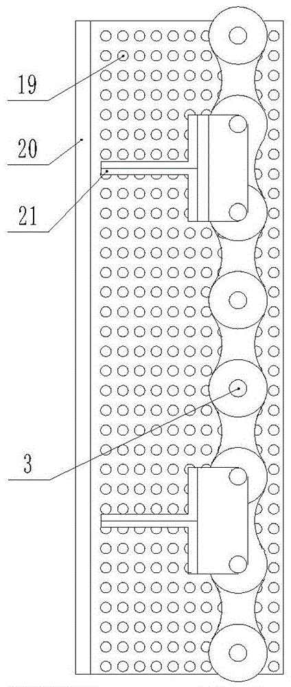 Garlic sowing machine