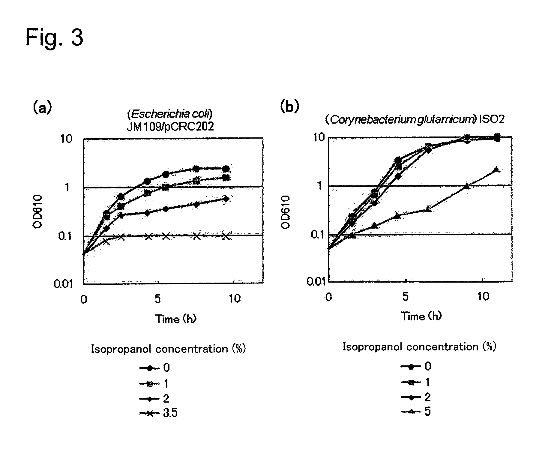 Transformant of coryneform bacteria capable of producing isopropanol