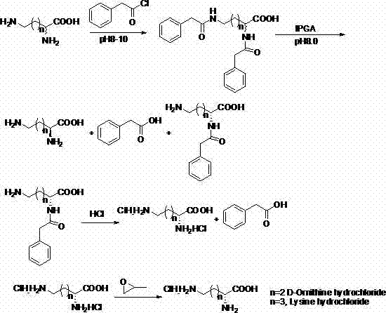 Chemical-enzyme method for preparing D-basic amino acid hydrochloride