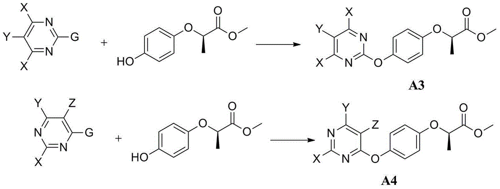 2-[4-(pyridyl-2-yl oxyl)phenoxyl]amide derivatives and preparation method and application thereof
