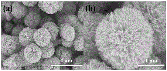 TiO2 microspheres and preparation method of TiO2-based photoanode dye-sensitized solar cell