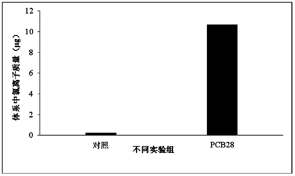 Anabaena capable of efficiently degrading polychlorinated biphenyl and application thereof