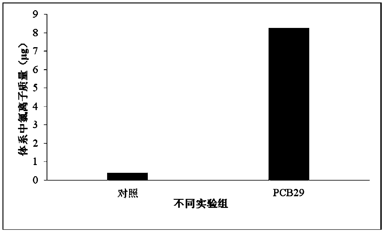 Anabaena capable of efficiently degrading polychlorinated biphenyl and application thereof