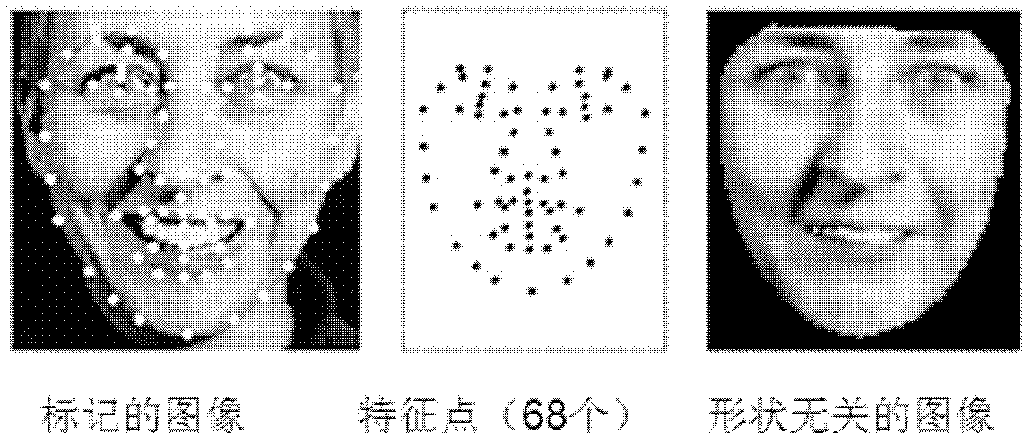 Human age automatic estimation method based on posterior probability neural network