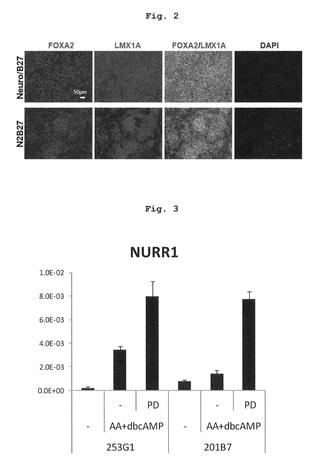 Method for producing dopaminergic neurons