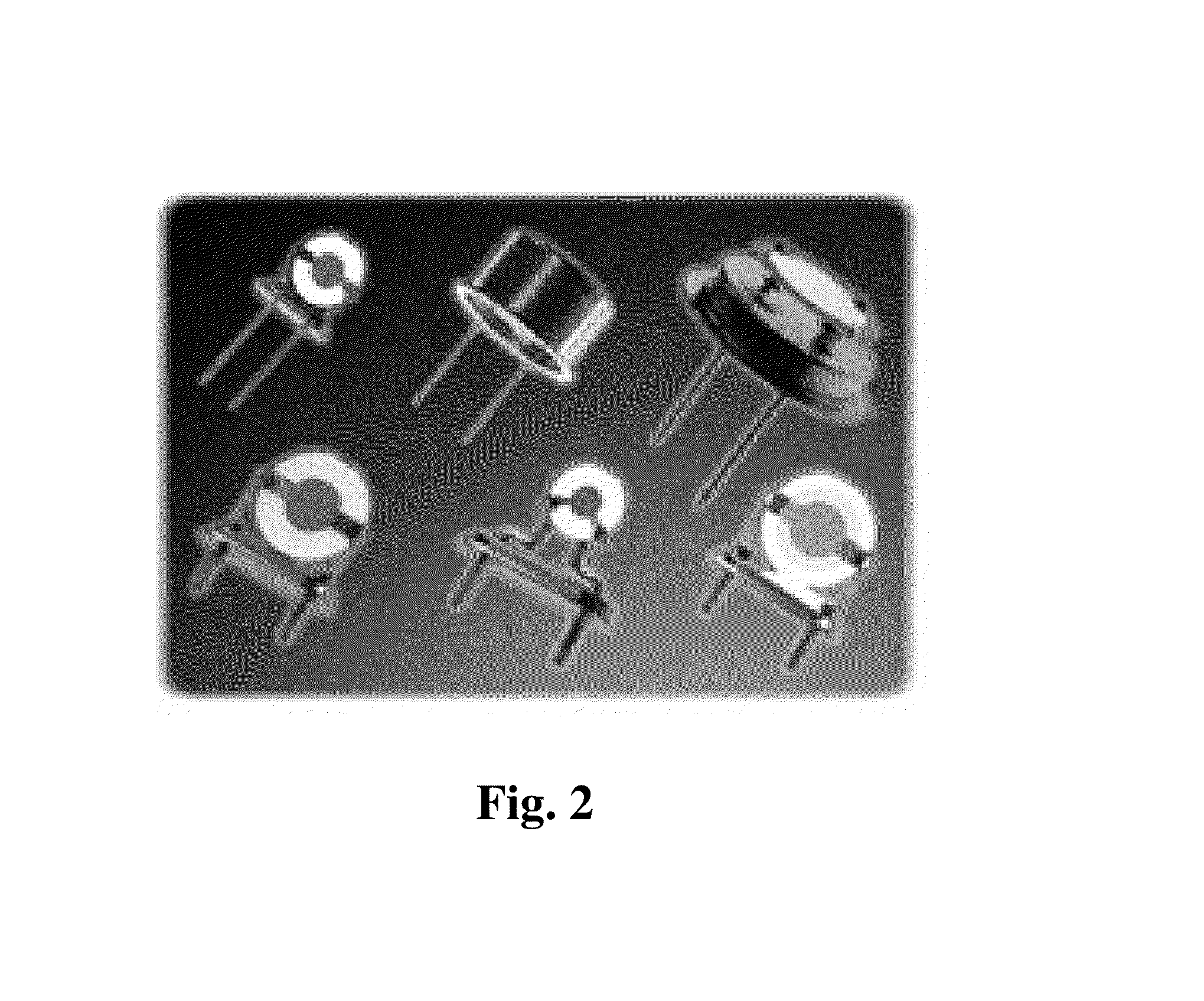 Method and Device for Detecting Odorants in Hydrocarbon Gases