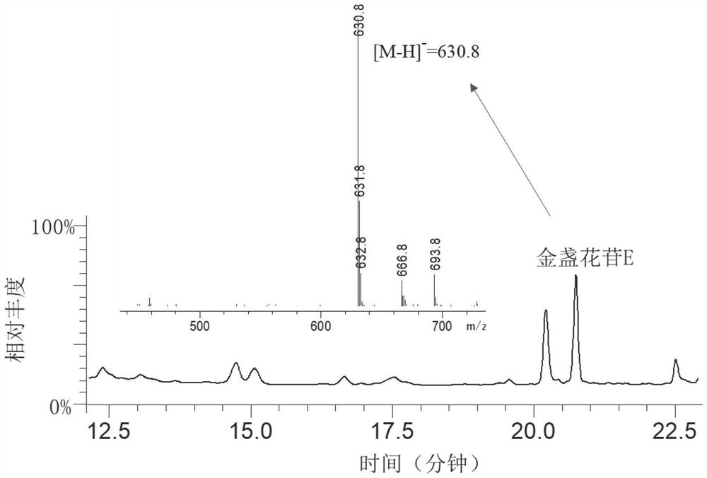 Four engineering saccharomycetes capable of efficiently synthesizing intermediate products or end products in synthetic route of ginsenoside Ro and method for efficiently synthesizing intermediate products or end products in synthetic route of ginsenoside Ro