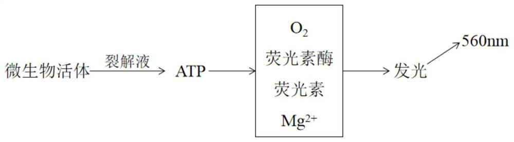 Bioaerosol early warning device based on ATP bioluminescence technology