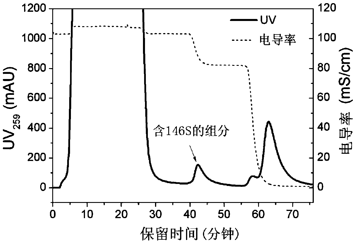 Method for Purifying Antigen of Foot and Mouth Disease Inactivated Virus by Hydrophobic Interaction Chromatography