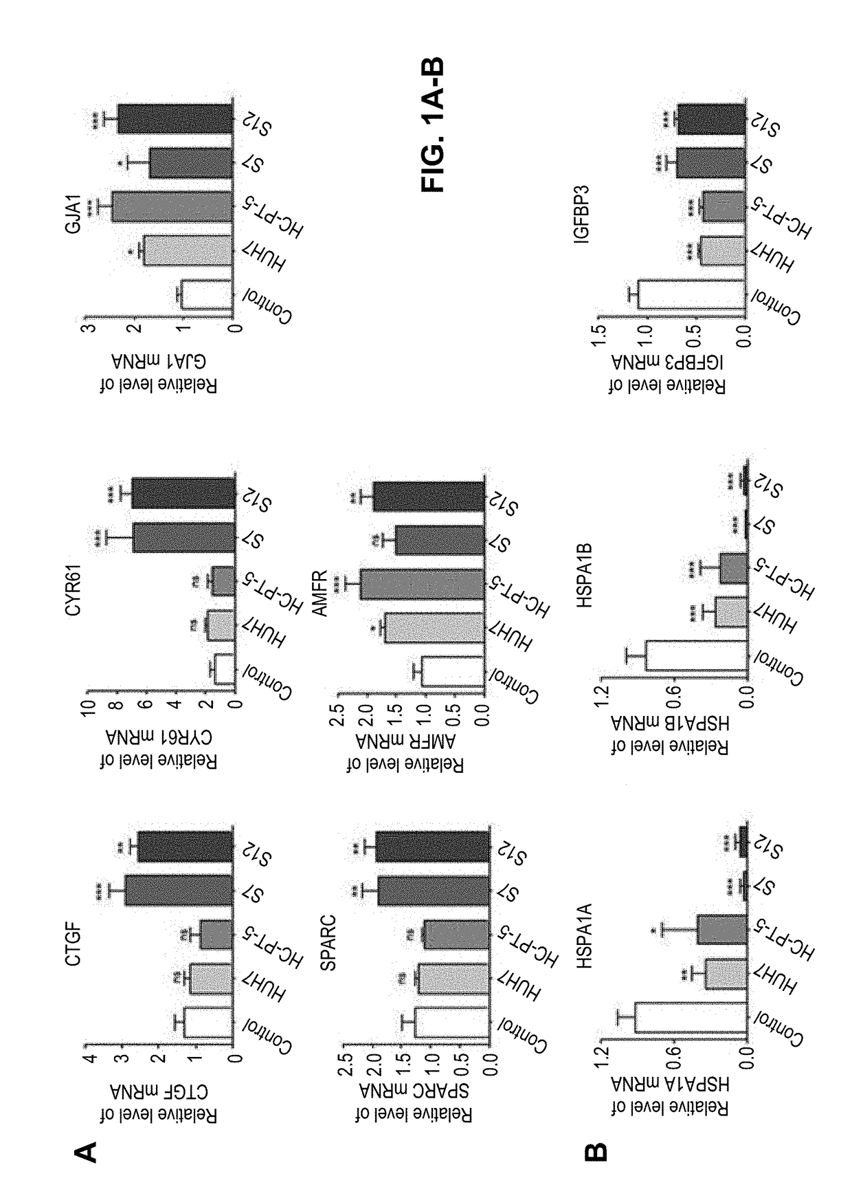 Compositions and methods for increasing mesenchymal stromal cell migration to tumors