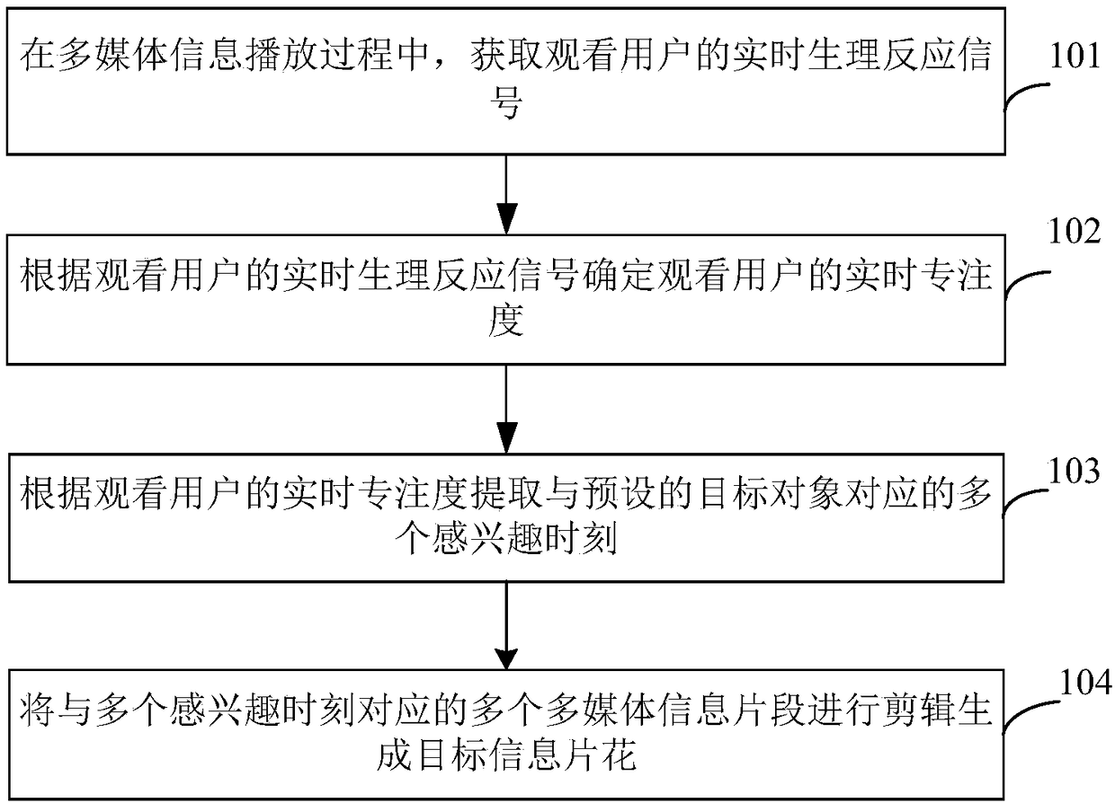 Multimedia information editing method and system
