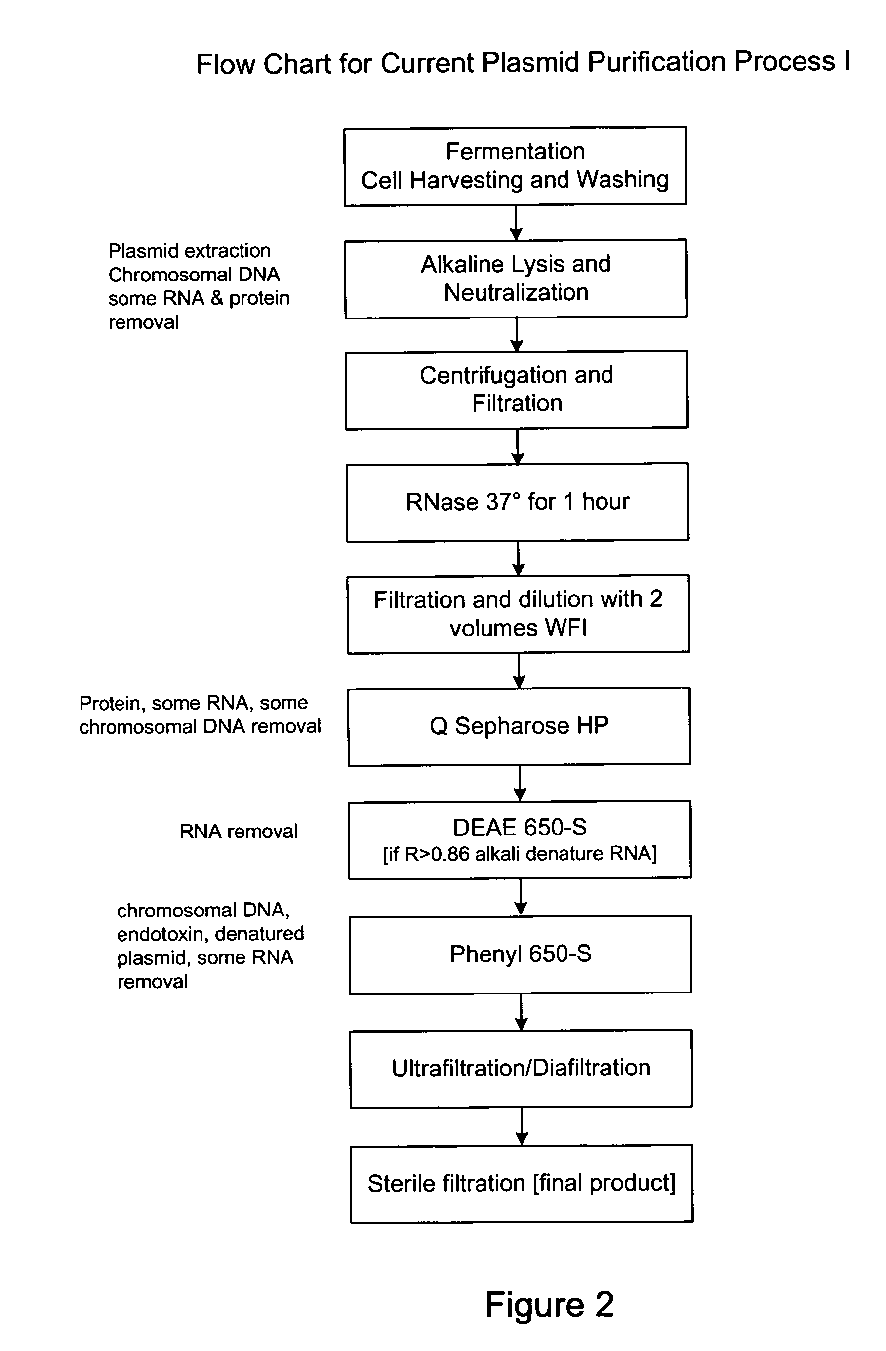 Process and equipment for plasmid purification