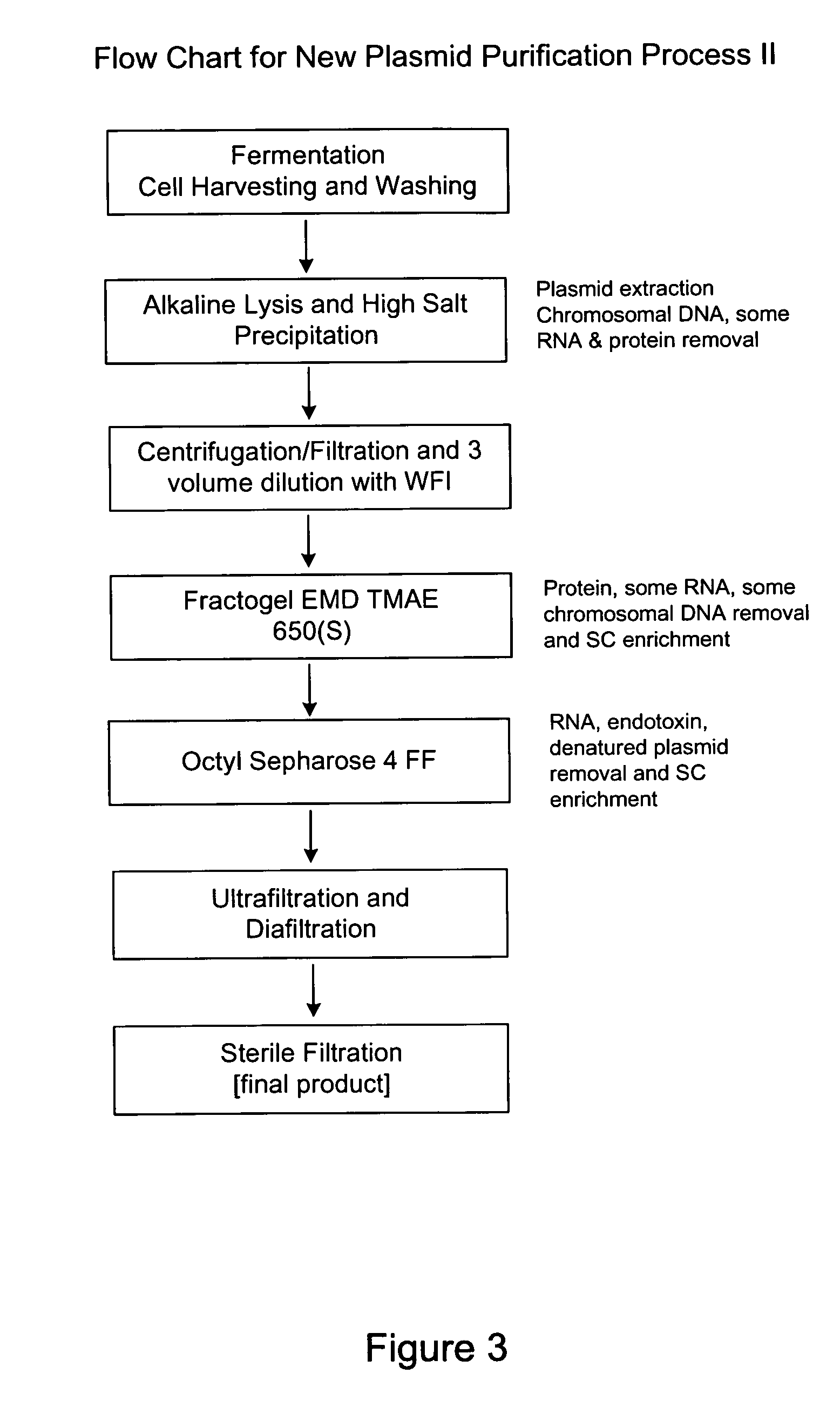 Process and equipment for plasmid purification