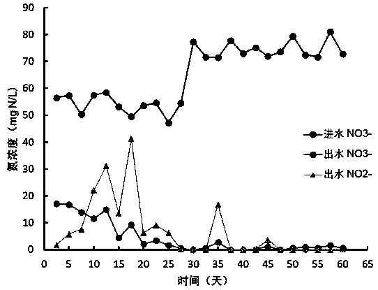 Culture method of sludge with synchronous sulfur autotrophic denitrification and anaerobic ammonia oxidation functions