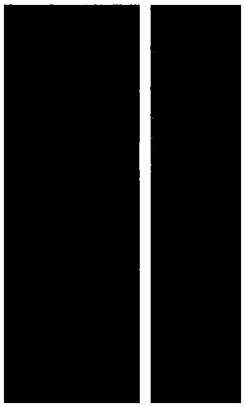 Application of lutein and derivative thereof in preparing anti-glioma drug