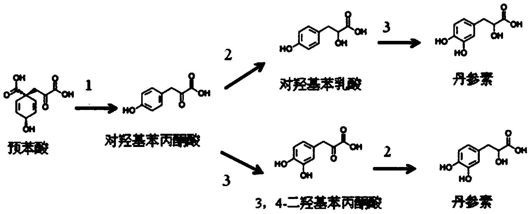 Biological production method of tanshinol
