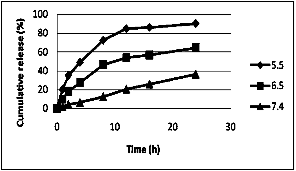 SPIO labeled pH sensitive drug-carrying liposome and preparation method thereof