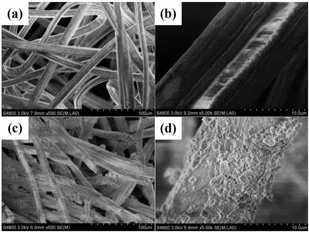 Three-dimensional ordered porous bracket material of chitosan fiber/bioactive glass and preparation method of three-dimensional ordered porous bracket material