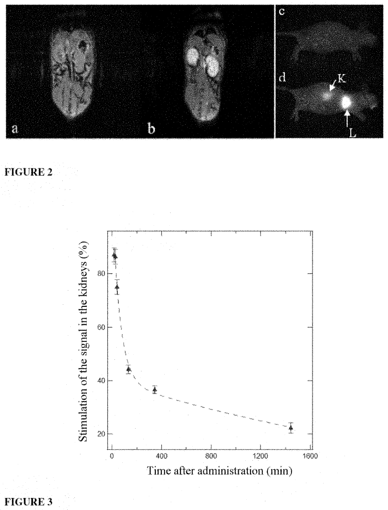 Ultrafine nanoparticles as multimodal contrast agent