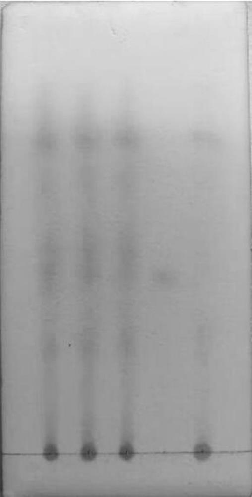 Thin-layer chromatography identification method for agastache rugosus Wanying powder