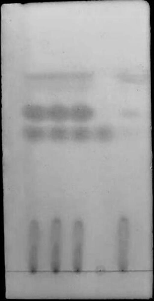 Thin-layer chromatography identification method for agastache rugosus Wanying powder