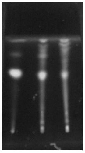 Anti-swelling gel agent and preparation method thereof